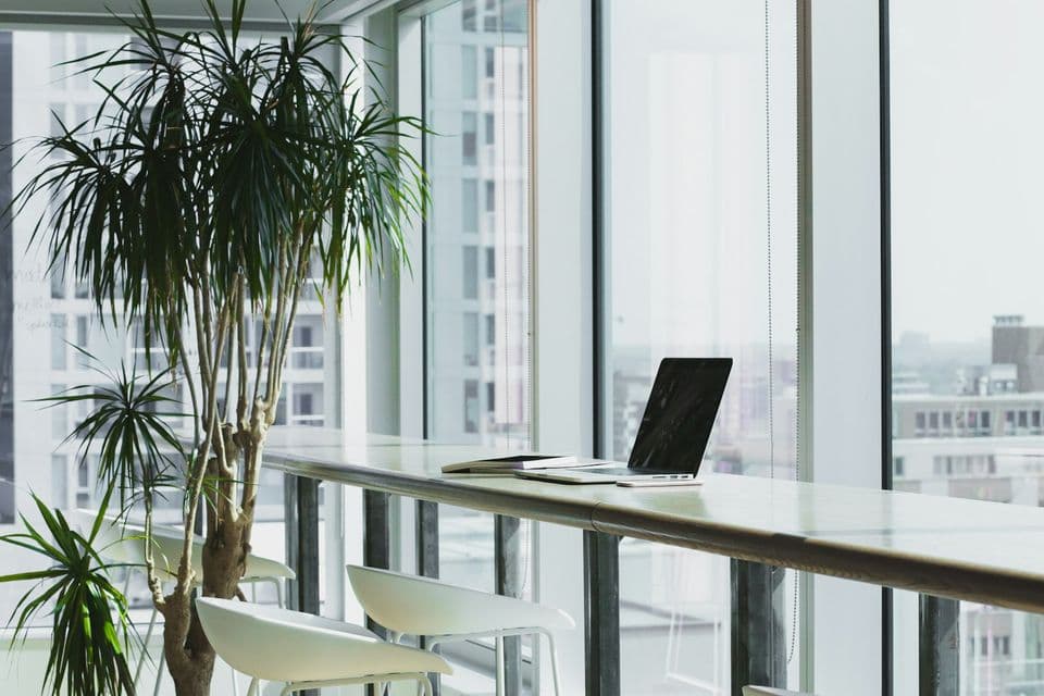 A bright office window ledge with a laptop, a closed notebook, white chairs, and a tall indoor tree. The quiet ledge fits a piece about pages that stay calm when motion is reduced.